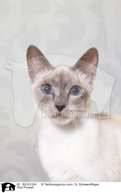 Thai Portrait / SS-51324