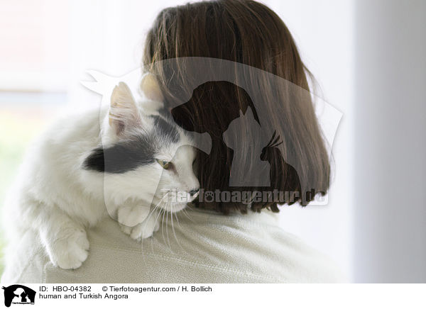 human and Turkish Angora / HBO-04382