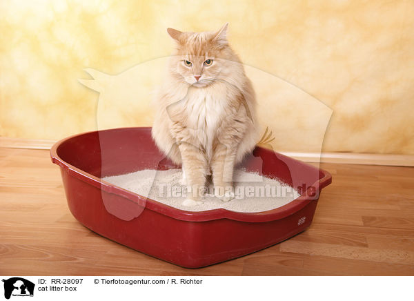 Katzenklo / cat litter box / RR-28097