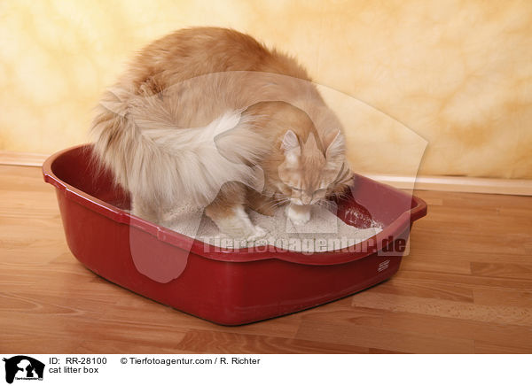 Katzenklo / cat litter box / RR-28100