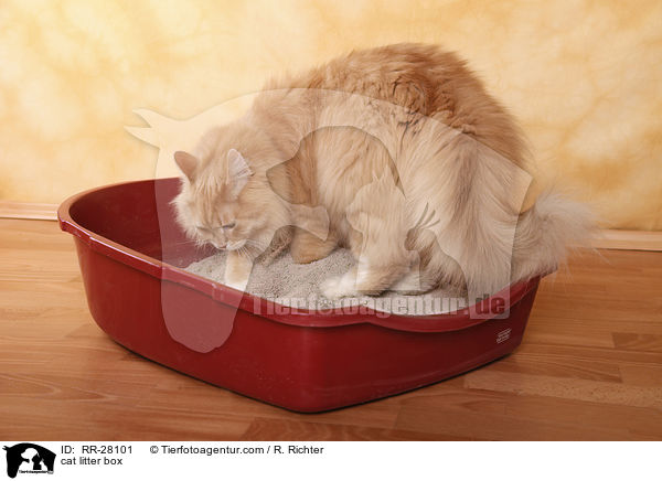 Katzenklo / cat litter box / RR-28101