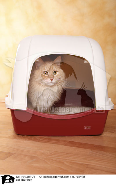 Katzenklo / cat litter box / RR-28104