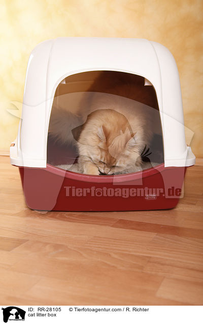 Katzenklo / cat litter box / RR-28105
