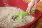 cat litter box