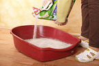 cat litter box