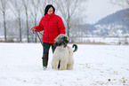 woman with sighthound