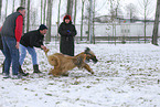 running sighthounds