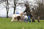 man with Dogs