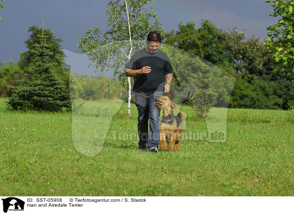 Airedale Terrier gebt bei Fu / man and Airedale Terrier / SST-05908