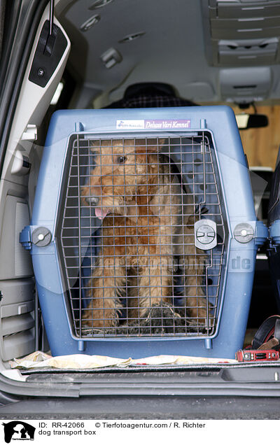 Transportbox / dog transport box / RR-42066