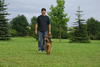 retrieving Airedale Terrier