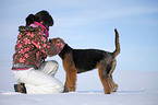 Airedale Terrier in snow