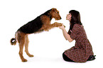 young woman with Airedale Terrier