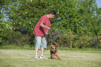 playing Airedale Terrier