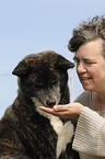 woman and Akita Inu