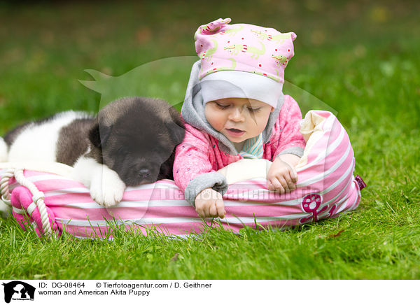 Kind und American Akita Welpe / woman and American Akita Puppy / DG-08464
