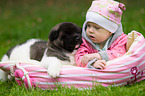 woman and American Akita Puppy