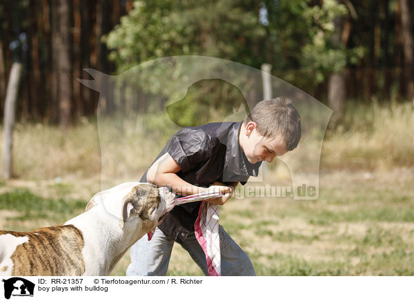 Junge spielt mit Bulldogge / boy plays with bulldog / RR-21357