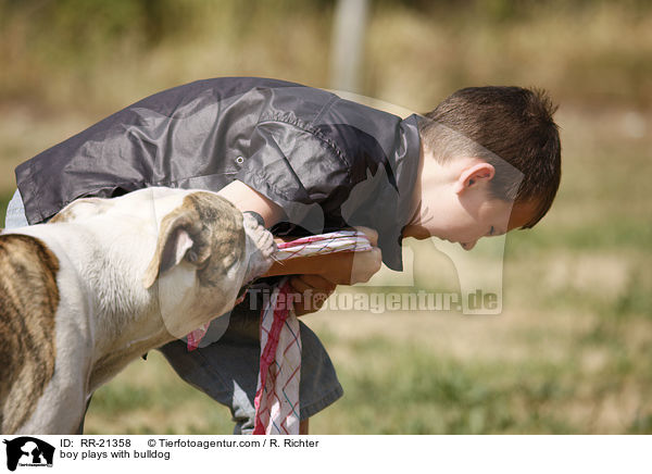 Junge spielt mit Bulldogge / boy plays with bulldog / RR-21358