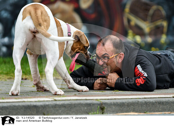 Mann und American Bulldog / man and American Bulldog / YJ-14520