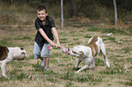 boy plays with bulldog