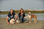 family with 2 American Bulldogs