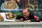 man and American Bulldog