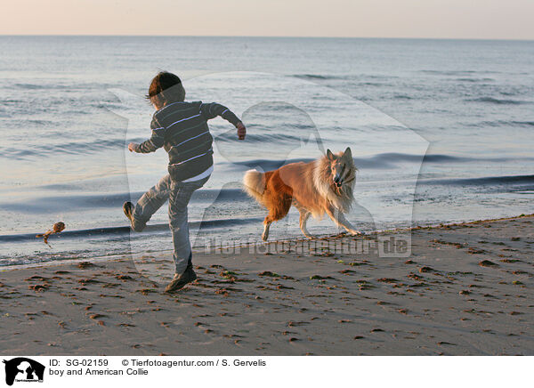 Junge und Amerikanischer Collie / boy and American Collie / SG-02159