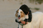 boy and American Collie