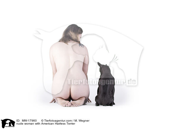 nackte Frau mit American Hairless Terrier / nude woman with American Hairless Terrier / MW-17960