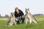 woman and american wolfdogs