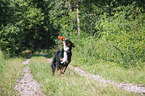 running Appenzell Mountain Dog