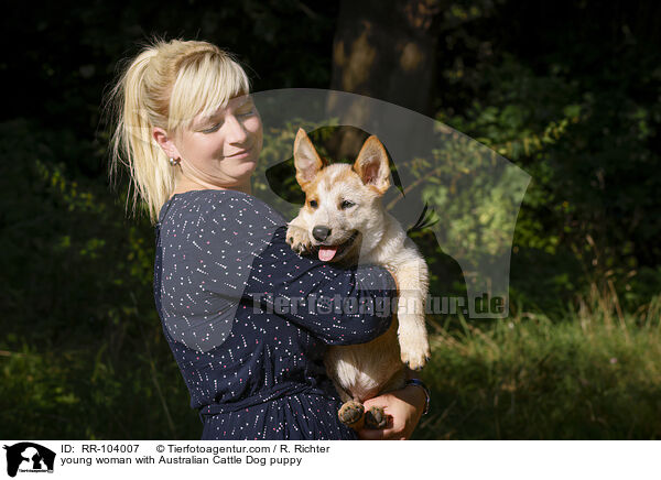 junge Frau mit Australian Cattle Dog Welpen / young woman with Australian Cattle Dog puppy / RR-104007