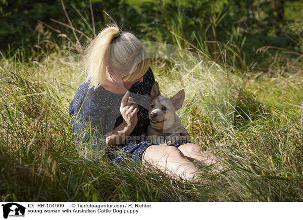 junge Frau mit Australian Cattle Dog Welpen / young woman with Australian Cattle Dog puppy / RR-104009