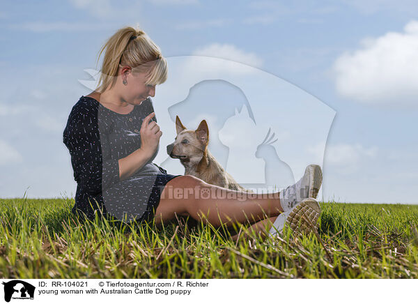 junge Frau mit Australian Cattle Dog Welpen / young woman with Australian Cattle Dog puppy / RR-104021