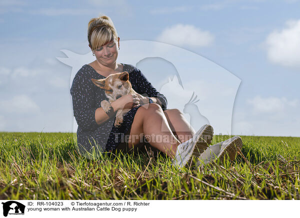 junge Frau mit Australian Cattle Dog Welpen / young woman with Australian Cattle Dog puppy / RR-104023