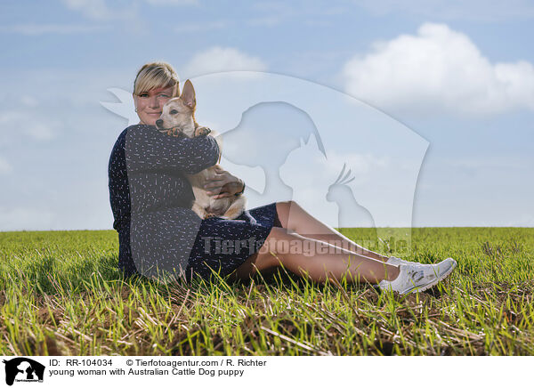junge Frau mit Australian Cattle Dog Welpen / young woman with Australian Cattle Dog puppy / RR-104034