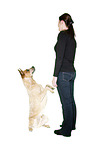young woman with Australian Cattle Dog