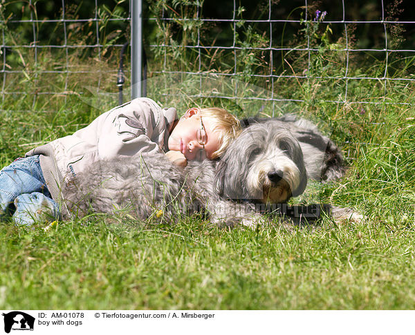 Junge mit Hunden / boy with dogs / AM-01078