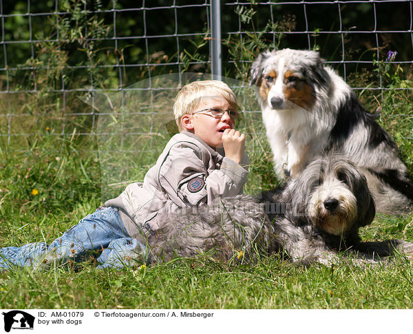 Junge mit Hunden / boy with dogs / AM-01079
