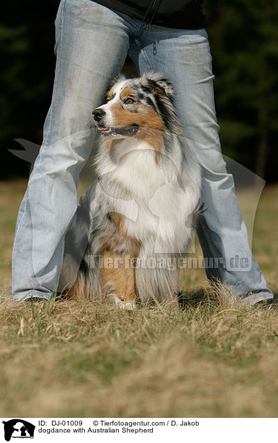 Dog Dancing mit Australian Shepherd / dogdance with Australian Shepherd / DJ-01009