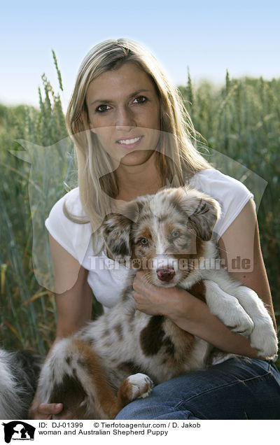 Frau und Australian Shepherd Welpe / woman and Australian Shepherd Puppy / DJ-01399