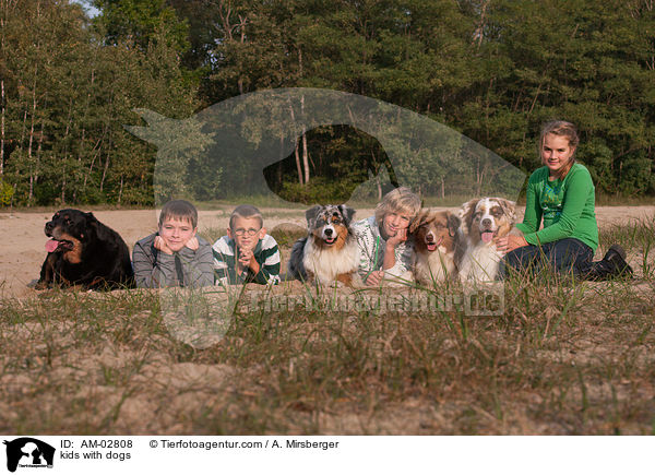Kinder mit Hunden / kids with dogs / AM-02808