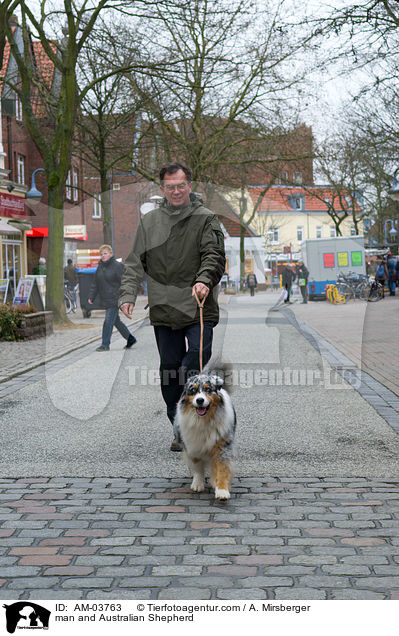 Mann und Australian Shepherd / man and Australian Shepherd / AM-03763