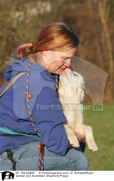 Frau und Australian Shepherd Welpe / woman and Australian Shepherd Puppy / SS-42806