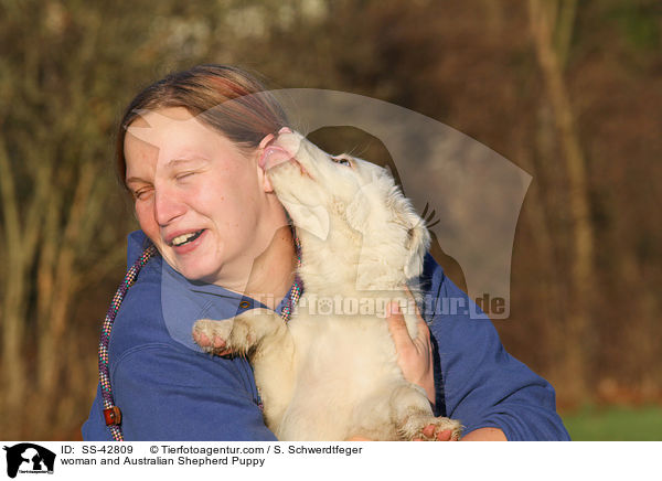 Frau und Australian Shepherd Welpe / woman and Australian Shepherd Puppy / SS-42809