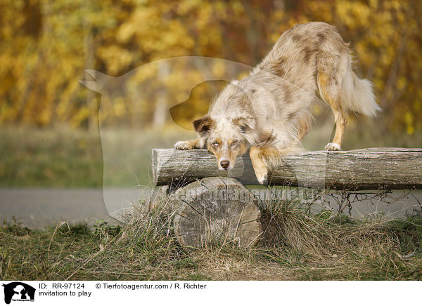 Spielaufforderung / invitation to play / RR-97124