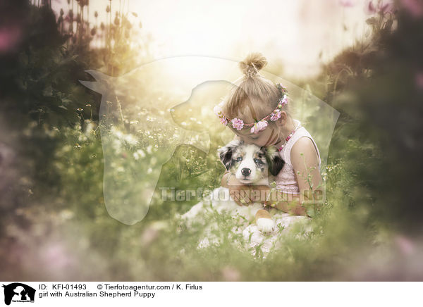 Mdchen mit Australian Shepherd Welpe / girl with Australian Shepherd Puppy / KFI-01493