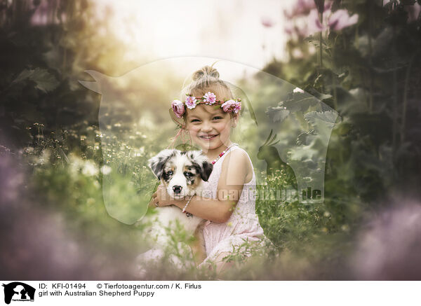 Mdchen mit Australian Shepherd Welpe / girl with Australian Shepherd Puppy / KFI-01494