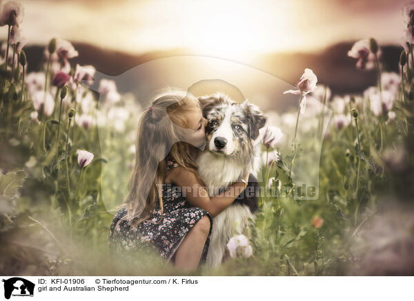 Mdchen und Australian Shepherd / girl and Australian Shepherd / KFI-01906